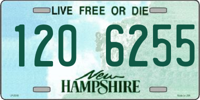 NH license plate 1206255