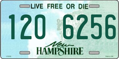 NH license plate 1206256