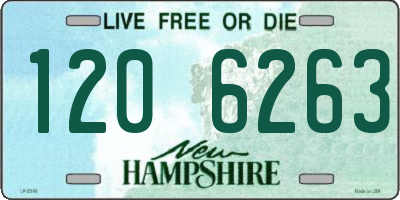 NH license plate 1206263