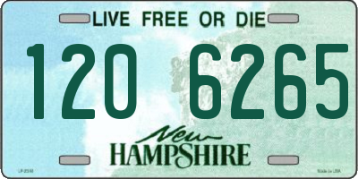 NH license plate 1206265