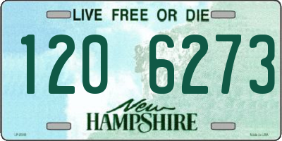 NH license plate 1206273