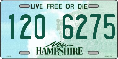 NH license plate 1206275