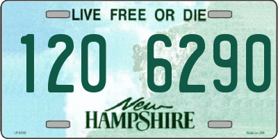 NH license plate 1206290