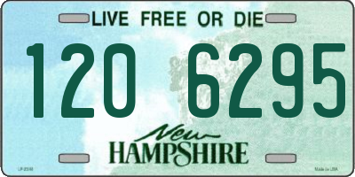 NH license plate 1206295