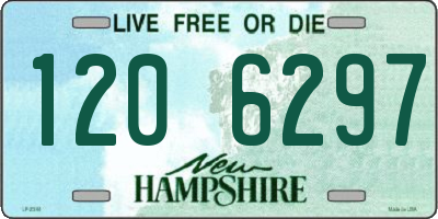 NH license plate 1206297