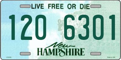 NH license plate 1206301