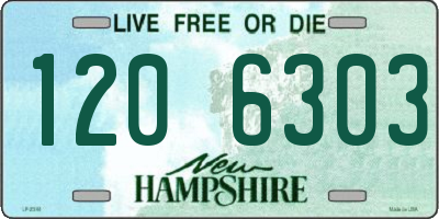 NH license plate 1206303