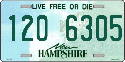 NH license plate 1206305