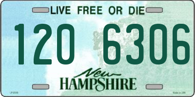 NH license plate 1206306