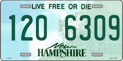 NH license plate 1206309