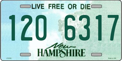 NH license plate 1206317