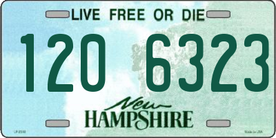 NH license plate 1206323