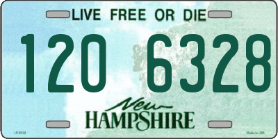 NH license plate 1206328