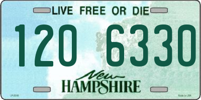 NH license plate 1206330