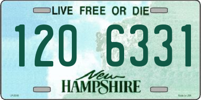 NH license plate 1206331