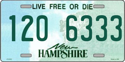 NH license plate 1206333