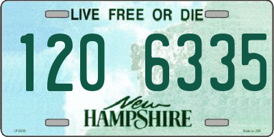 NH license plate 1206335