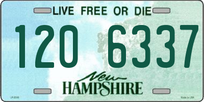 NH license plate 1206337