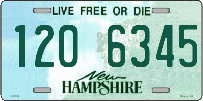NH license plate 1206345