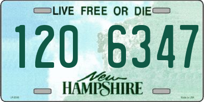 NH license plate 1206347