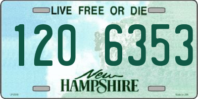 NH license plate 1206353