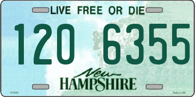 NH license plate 1206355