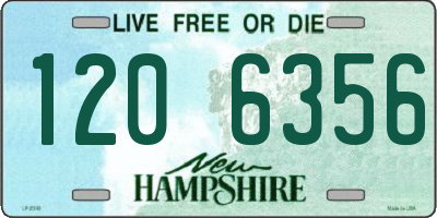 NH license plate 1206356