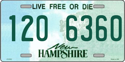 NH license plate 1206360