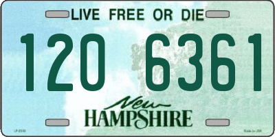 NH license plate 1206361