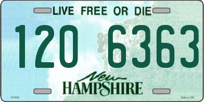 NH license plate 1206363