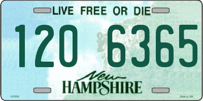 NH license plate 1206365