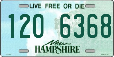 NH license plate 1206368