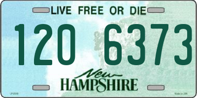 NH license plate 1206373