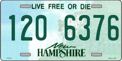 NH license plate 1206376