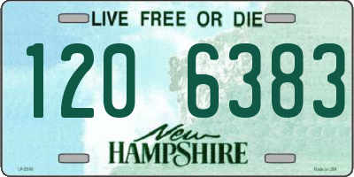 NH license plate 1206383