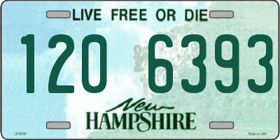NH license plate 1206393