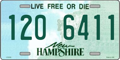 NH license plate 1206411