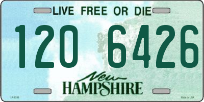 NH license plate 1206426