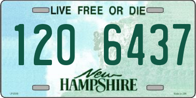 NH license plate 1206437