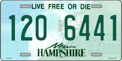 NH license plate 1206441