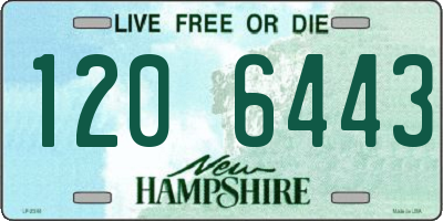 NH license plate 1206443