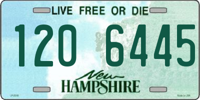 NH license plate 1206445