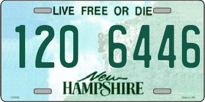 NH license plate 1206446