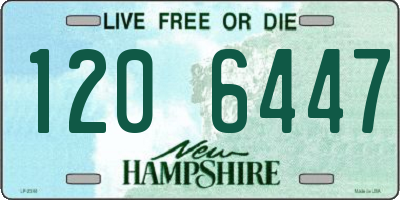 NH license plate 1206447