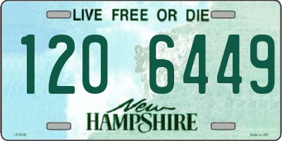 NH license plate 1206449