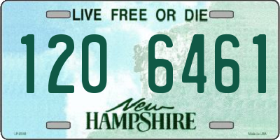 NH license plate 1206461