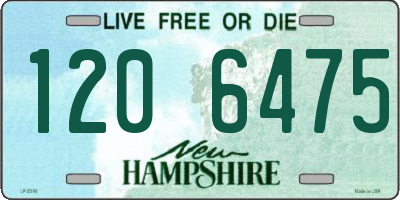 NH license plate 1206475
