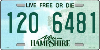 NH license plate 1206481