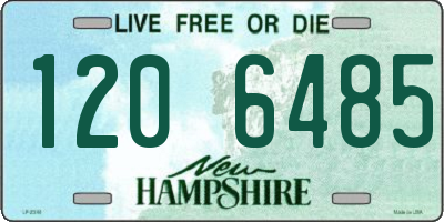 NH license plate 1206485