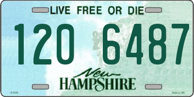 NH license plate 1206487